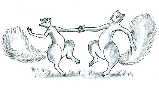Dancing squirrels illustration by Ron Whitacre