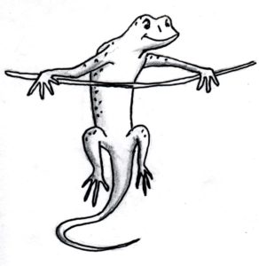 lizard on a stick