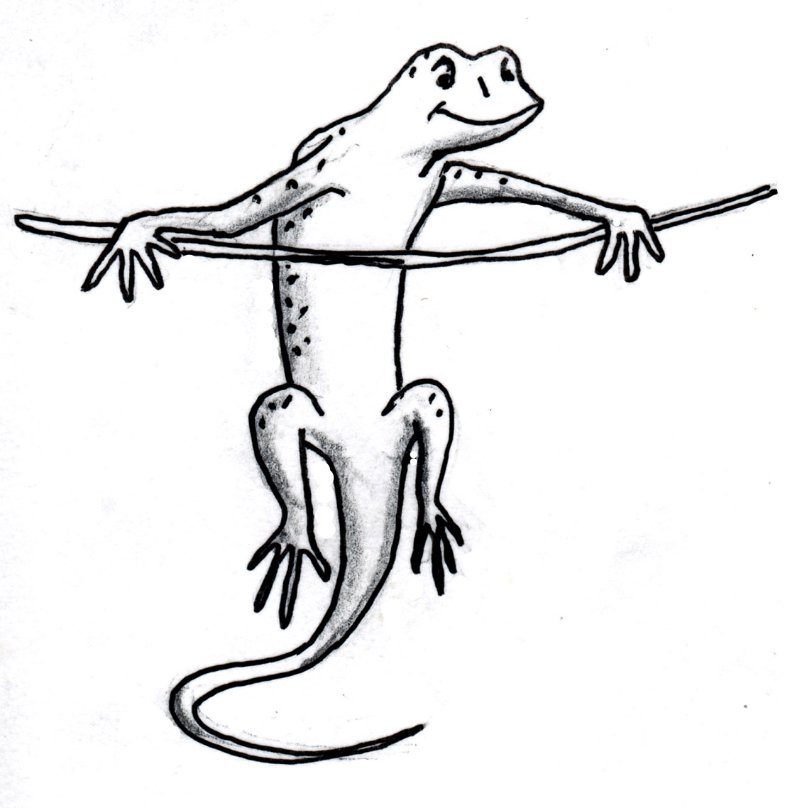 lizard on stick